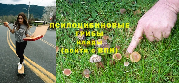 гидра Киреевск