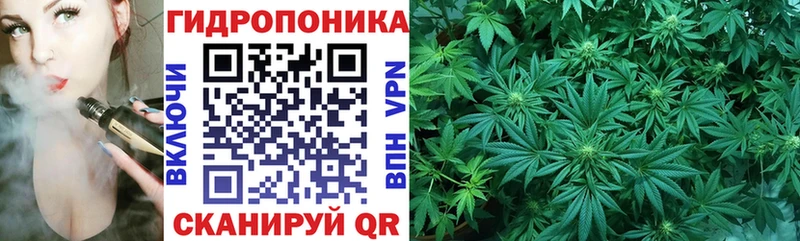 Купить закладки  Солнечногорск  МАРИХУАНА сатива 